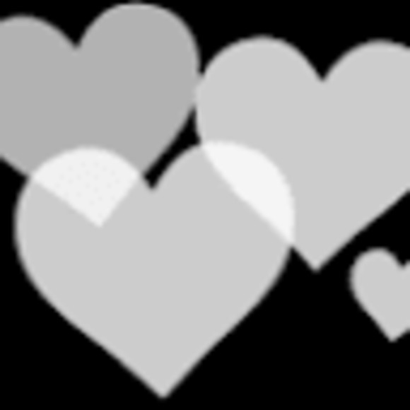 Meet your Posher, Hailey - Picture 1 of 1